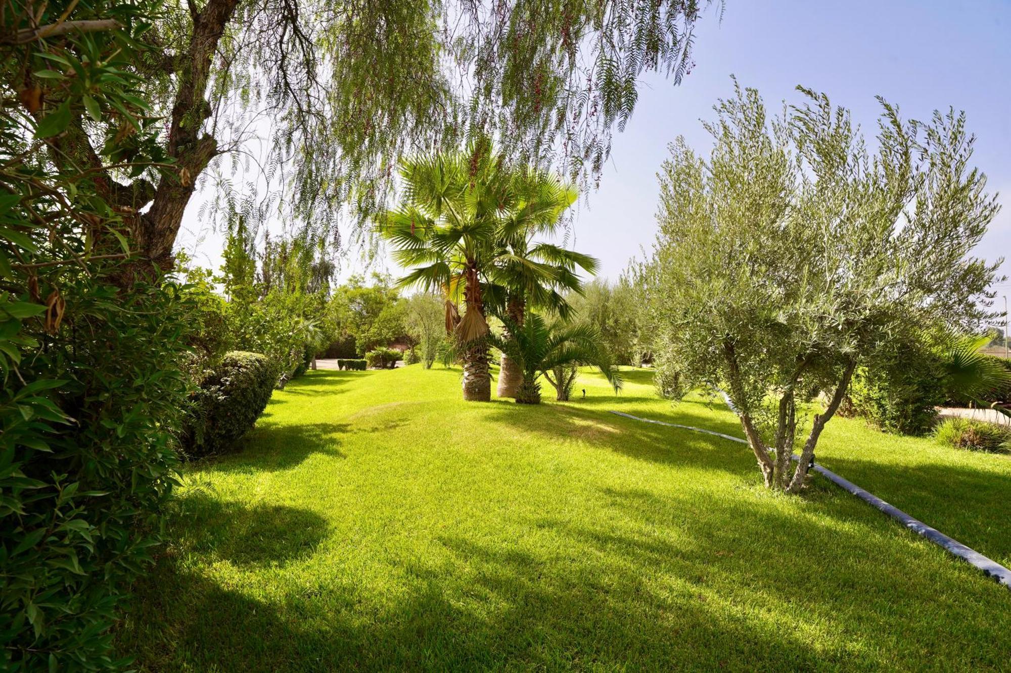 Ourika Camp Suites Hotel & Resort El Harkat Екстериор снимка